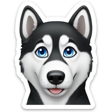 Black and white husky with blue eyes  sticker