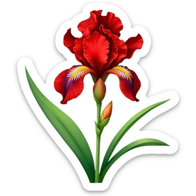 single Bright Red Iris, straight stem sticker