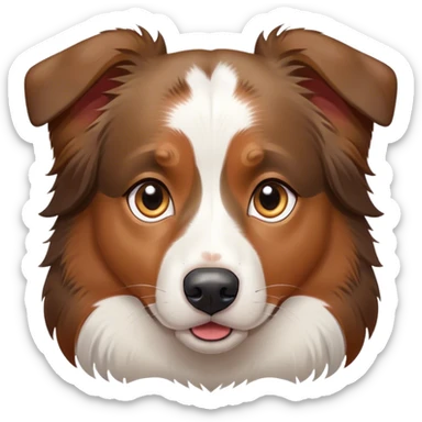 tricolor australian shepherd looking suspiciously sticker