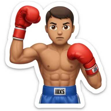 Boxing sticker