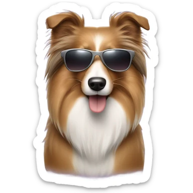 Jacked Sheltie with shades sticker