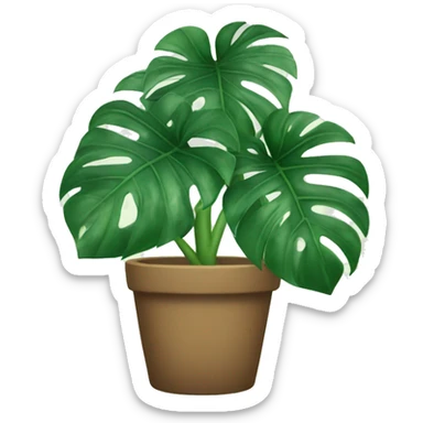 monstera plant  sticker