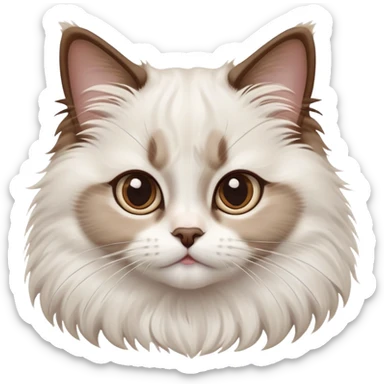 cinematic-adorable-big-eyed-fluffy-white brown-ragdoll-cat-portrait-emoji,-head-tilted-playfully-with-a-sweet-expression,-fluffy-white brown-fur,-simplified-yet-irresistibly-cute-features-with-large,-expression, sticker
