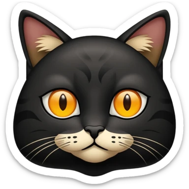 een zwarte kat die aan het wenen is met tranen sticker