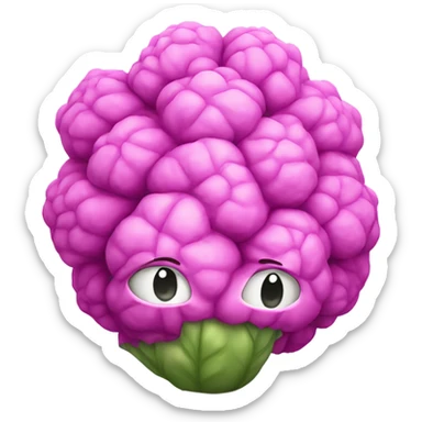 pink cauliflower looking in mirror sticker