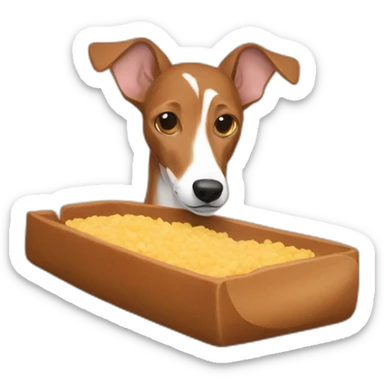 brown podenco eating dog meal sticker