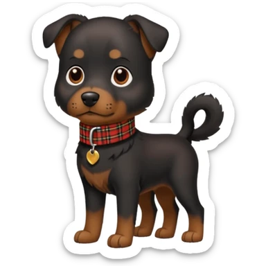 Medium size black dog with tartan collar sticker
