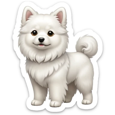 Pure white Chinese rural dog sticker