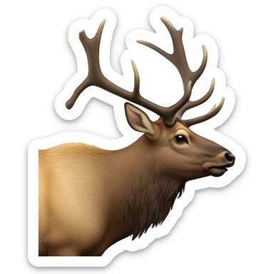 Big branch bull elk sticker