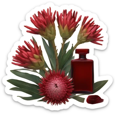 Dark red captivating perfume bottle with red proteas and a handwritten love letter sticker