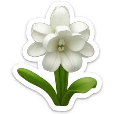 White hyacinth flower sticker