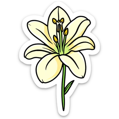 lily flower sticker