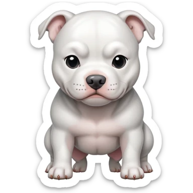 White pitbull with grey patch sticker
