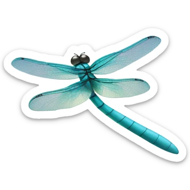 dragonfly skating sticker