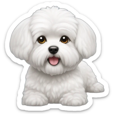 Bichon maltais sticker