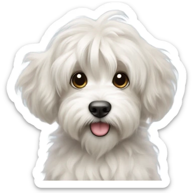 White tibetan terrier puppy sticker