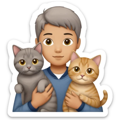 Chinese boy holding a grey shorthair cat and a British longhair golden cat sticker