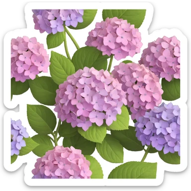 Highly detailed realistic hydrangea flower showing natural texture of many small flowers in a cluster, subtle color variations, and authentic leaf structure sticker