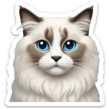 Ragdoll cat with blue eyes  sticker
