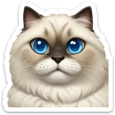 short-haired himalayan cat with blue eyes laying on back showing belly sticker