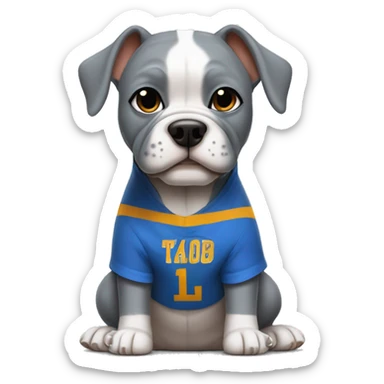 Gray Micro bully with cropped ears dog wearing a blue basketball jersey  sticker