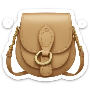 Dior saddle bag sticker