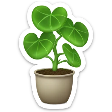 Chinese money plant sticker