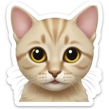 kitten with fake eyelashes sticker