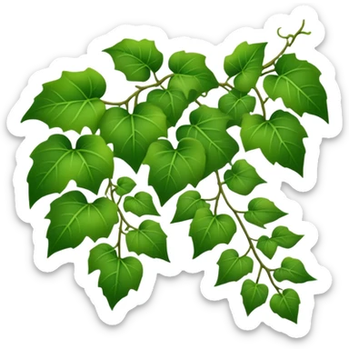 green ivy vine with leaves sticker