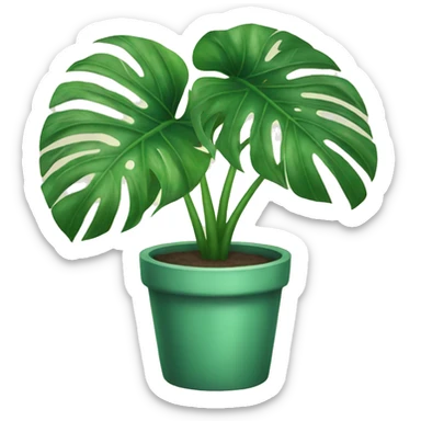 Monstera plant sticker