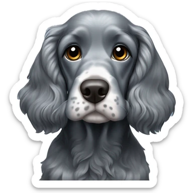 Blue Rowan cocker spaniel grey sticker