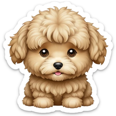Beige maltipoo  sticker