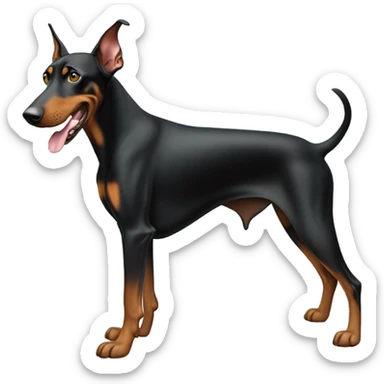 Doberman dog who farted and it smells sticker