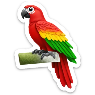 Man United shirt on a Amazon parrot sticker