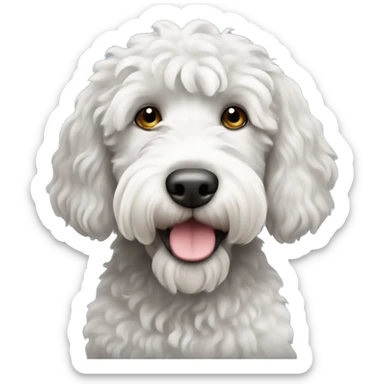 white and grey labradoodle sticker