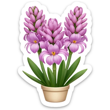 a light margenta  Hyacinth sticker