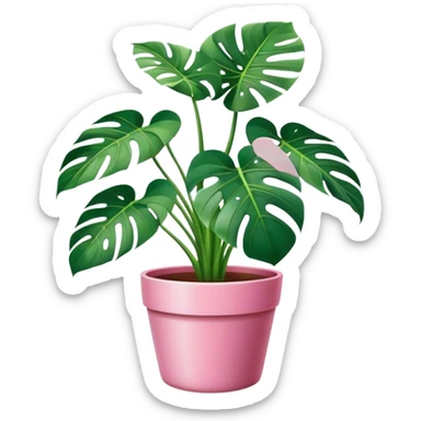 Monstera plant in a pink pot sticker