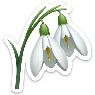 snowdrop flower sticker