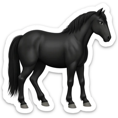 Black Horse sticker