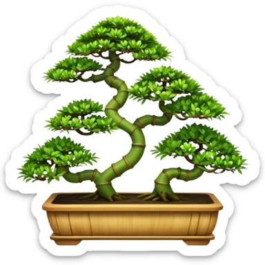 Twisted bamboo floor shelf unit displaying bonsai plants(in shallow bonsai pots) because they have too many  sticker
