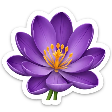 crocus flower sticker