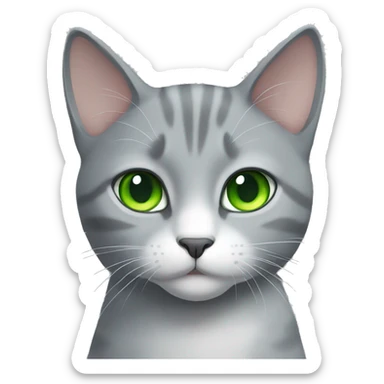 Gray cat with green eyes and white chest sticker