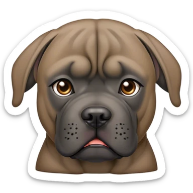 Cane corso with clipped ears sad sticker