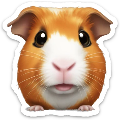 guinea pig with orange face  sticker