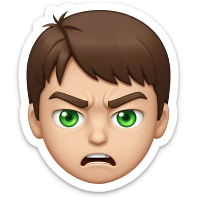 Boy 10 years old, with overgrown brown hair with green eyes, angry, shows fuck sticker