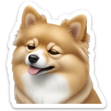 sleeping pomeranian-spitz mix light brown and white with gray ears sticker