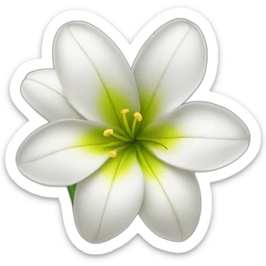 Lilia flower sticker