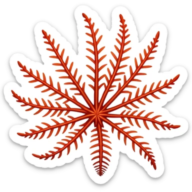 feather star sticker