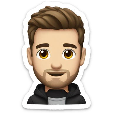 Liam Payne  sticker