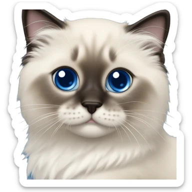 Seal colorpoint ragdoll kitten brown nose royal blue eyes sticker